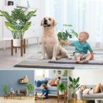 Adjustable Plant Stand Indoor, Bamboo Mid Century Modern Plants Stands - Image 6