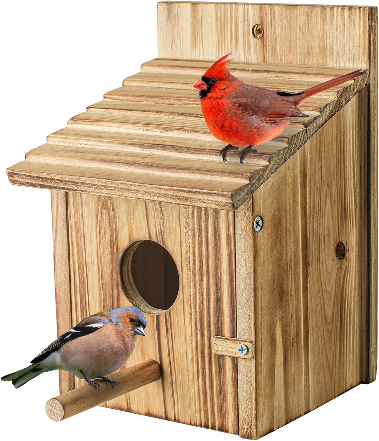 81sMEmKrQlL._AC_SL1500_.jpg Wooden Birdhouse with Lift-Up Front Cleaning Door - Image 1